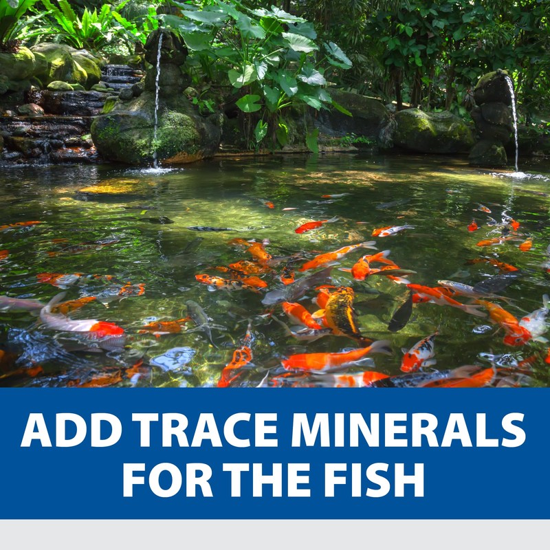 The Pond Guy Clarity Defense Water Garden Flocculant, Clear Cloudy