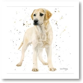 Birthday/Blank Greeting Card For Him/Her - Male/Female - Yellow Labrador Dog - General Card Suitable for Birthday and Other Occasions - Eco-Friendly