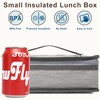 FlowFly Small Insulated Lunch box Portable Soft Bag Mini Cooler