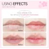 Laikou Japan Sakura Lip Mask 6g Mascarilla Hidratante Y Su