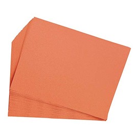 Construction Paper,Orange,9 inches x 12 inches,50 Sheets, Heavyweight Construction Paper,Crafts,Art,Kids Art,Painting, Coloring,Drawing,Creating,Paper,Art Project,All Purpose