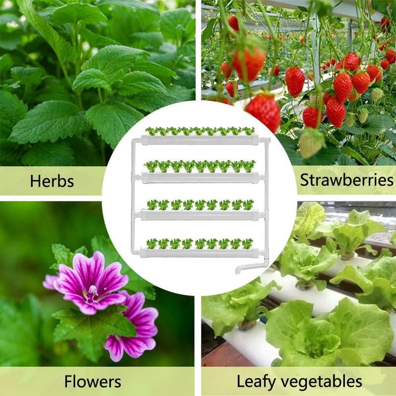 INTBUYING Hydroponics Growing System 36 Holes 4 Pipe Plant Site