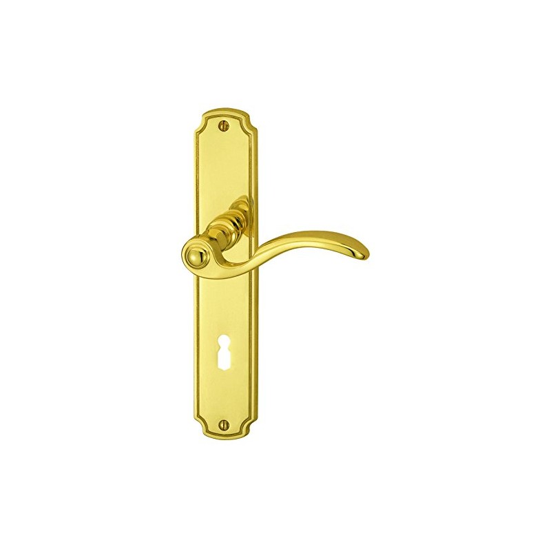 ALPERTEC Rebeca LS Polished Brass Door Handle Set Door Fittings
