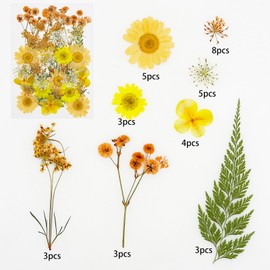 Cayway 33 PCS Dried Pressed Flowers for Resin, Real Pressed Flowers Dry Leaves Kit Natural Dried Pressed Leaves for Art Crafts Resin Scrapbook Supplies Soap Candle DIY, Yellow