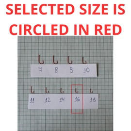 PRO FILSTAR Red Fishing Hook Set with Leader Pack of 10, Size 16, Mono Fishing Line 50 cm, DIA 0.10 mm - Tench & White Fish Tied Hooks - Fishing Hook - Leader Line - Monofilament Leaders - Sports Set