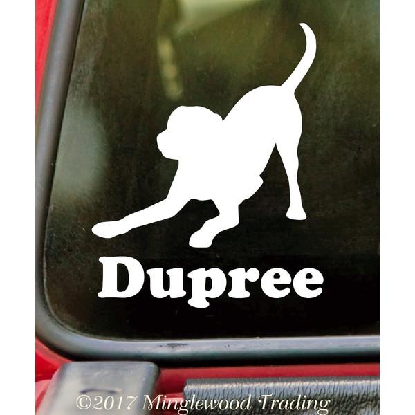 Minglewood Trading White - Playful Labrador Retriever with Personalized Name