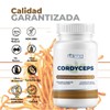 Cordyceps 500mg 100 cápsulas - Ingredientes Naturales - Suplemento Alimenticio