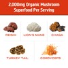 OM MUSHROOM SUPERFOOD OM MUSHROOM SUPERFOOD Morning Energy Blend Mushroom