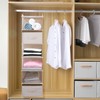 tulinstiraga Large Hanging Sweater Organizer for Closet,Collapsible 6-Shelf Hanging Closet