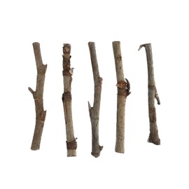 palo hueso (5 pack) palitos de santeria palitos de palo hueso santeria cascarilla osha efun carga de 21 palos santeria cascarilla elegua oshun yemaya santeria (5 palitos 4-6" por orden