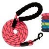 Glorypet Rope Dog Leash 5 ft, Heavy Duty, Reflective, Tangle-Free