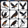 FINGERINSPIRE 9PCS Crow Painting Stencil with Paint Brush 15x15cm