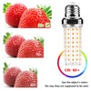 LED Corn Light Bulb 150W Equivalent 2000 Lumen 3000K Warm