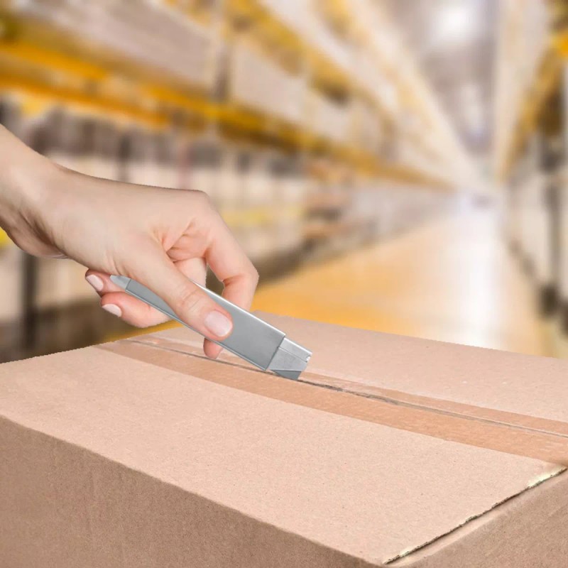 OBI Repuesto Navaja De Costilla 100 Pz 4x1.9cm