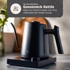 Greater Goods Electric Gooseneck Kettle, 1200W Stainless Steel with Precision
