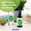 Chlorophyll Drops - 50 ml Liquid from Pure Alfalfa -