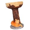 Cat Bird Bath Statue Durable Resin Bird Bath Bowl Exquisite