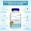 Abronikey Limpieza Apoyo Intestinal Colon Días 60c Sfn