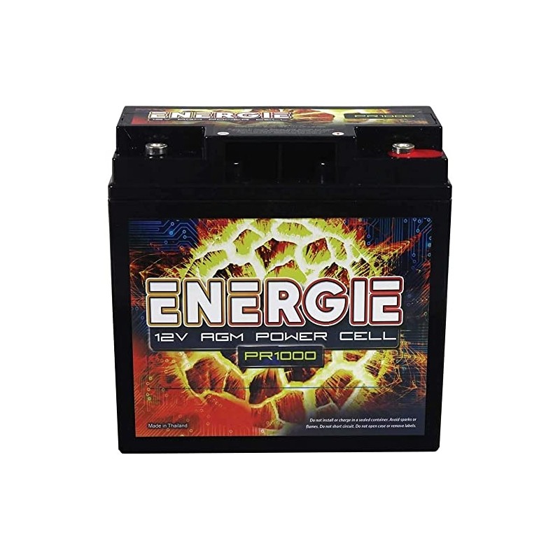 Reikken PR1000 Energie 1000 Watt 12 Volt Power Cell