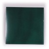 Magnetic Viewer (Magnetic Observation Sheet) 2.0 x 2.0 inches (50