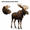Moose 2FT Life Size Cardboard Cutout – A Fun Animal