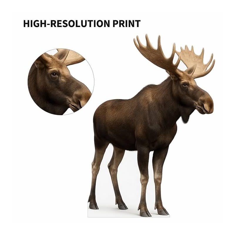 Moose 2FT Life Size Cardboard Cutout – A Fun Animal