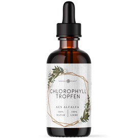 Chlorophyll Liquid from Alfalfa - 100 ml Liquid Chlorophyll - 200 mg Liquid Chlorophyll Per Daily Dose - Chlorophyll Drops as Alternative to Chlorophyll Tablets