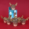 PME Cupcake Decorating Kit with Edible Toppers, Reindeer