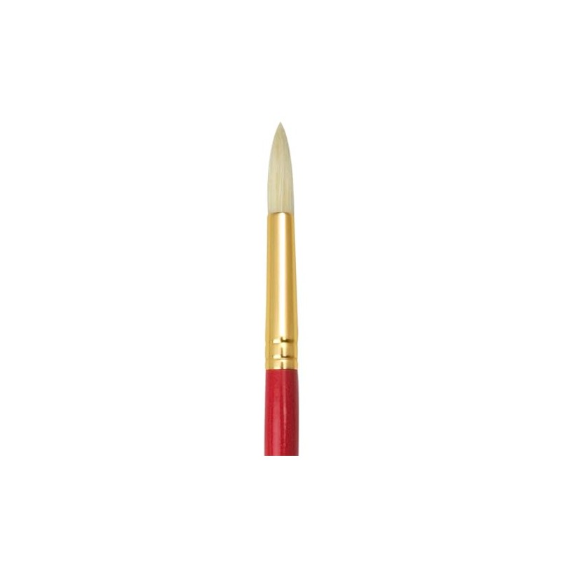 Economy Artist Paint Brush White Bristle No. 5