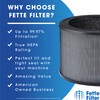 Fette Filter - 2 Premium True Hepa H13 Replacement Filter