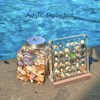 Acrylic Magnetic Seashell Display Box, Seashell Collection Box and Jewellery