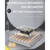 48-Egg Chicken Egg Incubator with Auto Turner & LED Candler