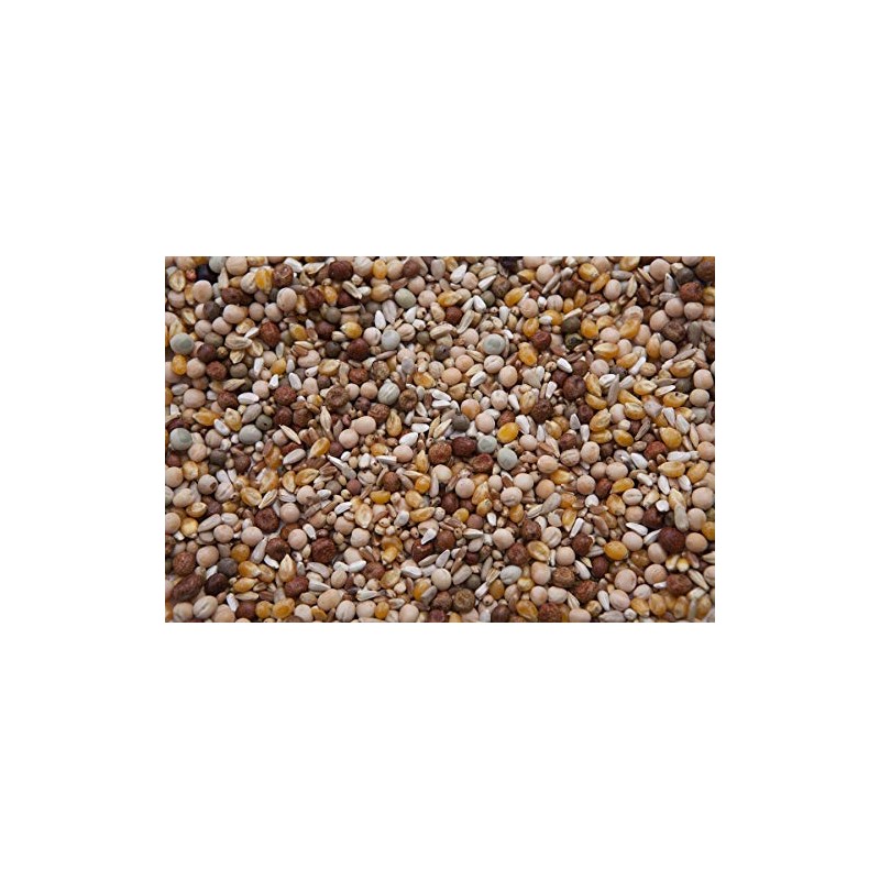 King 45 Pigeon Mix (17%) 8 lbs