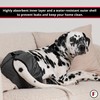 FINNERO Brenda Reusable Dog Diaper, Leak-Proof, Adjustable, Heat & Incontinence