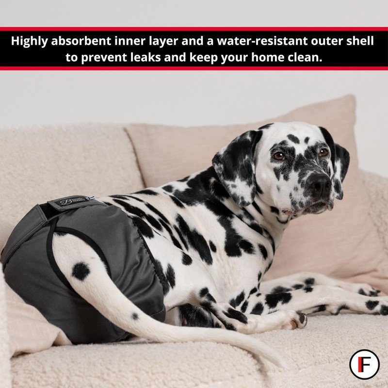 FINNERO Brenda Reusable Dog Diaper, Leak-Proof, Adjustable, Heat & Incontinence