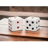 Fine Ceramic Red and Black Dice Salt & Pepper Shakers