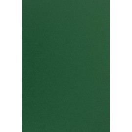 Netuno 20 x Coloured Cardboard, Dark Green, DIN A4, 210 x 297 mm, 170 g, Sirio Colour Foglia Craft Cardboard, A4 Clay Drawing Cardboard, High Quality for Printing Tasks, Invitation Cards, Wedding