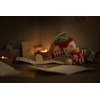 Christmas Elf Letters 24 daily elf letters from the North