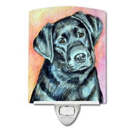 Caroline's Treasures 7177CNL Black Labrador Ceramic Night Light Compact, UL-Certified, Ideal for Bedroom, Bathroom, Nursery, Hallway, Kitchen, 6x4x3, Multicolor
