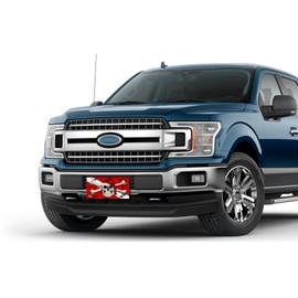 Salty Bones Skull and Crossbones on Dive Flag License Plate