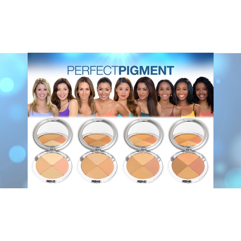 Christina Cosmetics Perfect Pigment 3 Compact and Retractable Brush Duo!