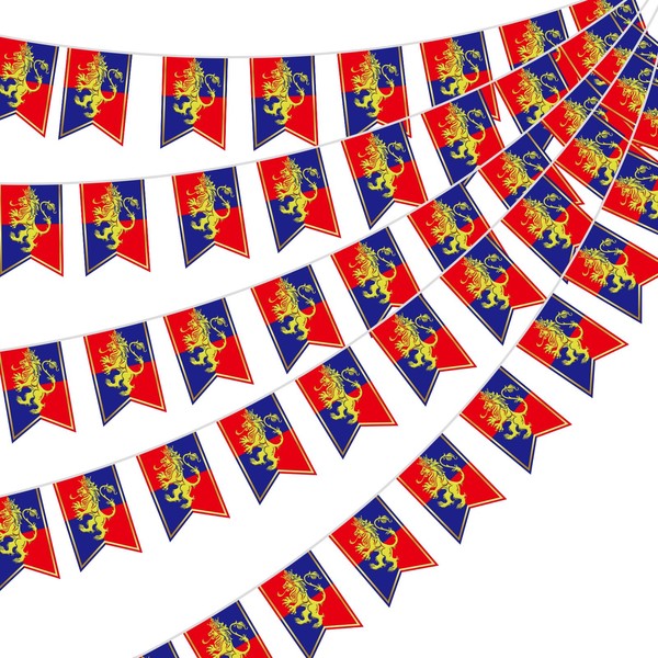 Hestya 5 Pcs 49ft Medieval Party Decorations Medieval Fantasy Bunting