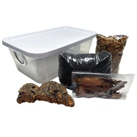 Deluxe Isopod Habitat Kit - Exo-Morphs - Insect Terrarium
