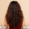 CURLSMITH - Miracle Shield, Protein-Rich Hair Protection Spray for All