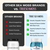 TrueSeaMoss Wildcrafted Sea Moss Gel – Blue Spirulina and Raspberry