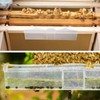 20 Pack Small Reusable hive Beetle for bee Hives Beetle