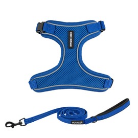 Best Pet Supplies Voyager Escape Proof Cat Harness and Leash Set with Reflective Stitching, Neoprene Handle 5ft - Supports Small, Medium and Large Cats, Kittens - Royal Blue, M (Chest: 16.5-19.5")