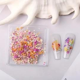 3D Dried Flowers for Nail Art, 1 Box Spring Flowers Nail Art Decoration Pink Yellow Orange Flowers Nail Art Stickers Floral Bloom Nail Art for Manicure Decor Flower Designs Nail Accessories Supplies