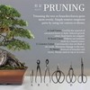 BambooMN Bonsai Tool 10pc Advanced Care Set