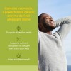 Natural Factors Bromelaína 500mg 90 Cápsulas Sin Sabor